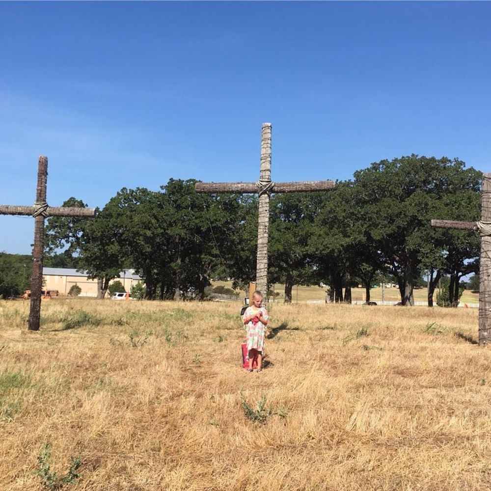 Meet your Posher, Shirley